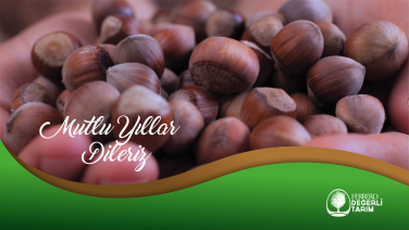 Ferrero Fındık Yılbaşı İlanı